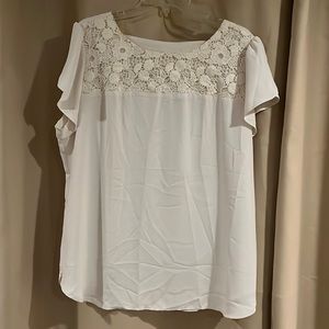 NWT Loft Elegant Lace Blouse